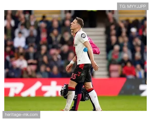 霍奇森重返英格兰队，球队复兴之路备受期待